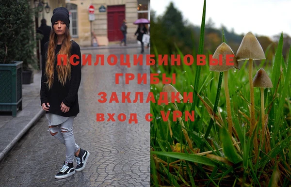 хмурый Алексин