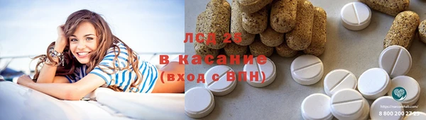 ПСИЛОЦИБИНОВЫЕ ГРИБЫ Алзамай