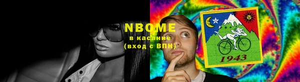 хмурый Алексин