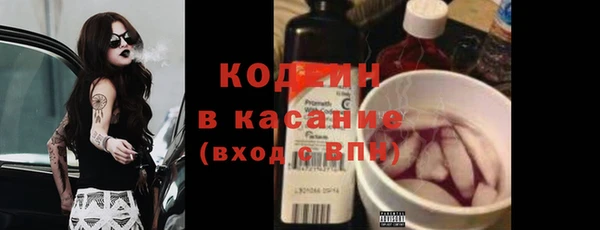 хмурый Алексин