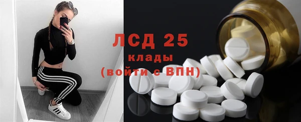 ПСИЛОЦИБИНОВЫЕ ГРИБЫ Алзамай