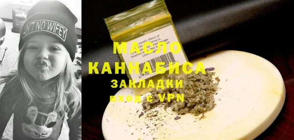 гашик Пестово