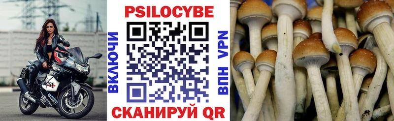 Псилоцибиновые грибы мицелий  Долинск 